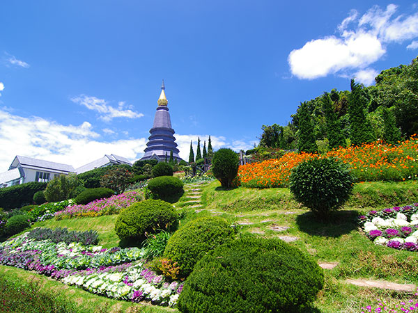 치앙마이 5일,6일 [프리미엄] #NO옵션NO쇼핑 #치앙마이 핵심관광 #1일자유 #마사지2시간 #도이인타논