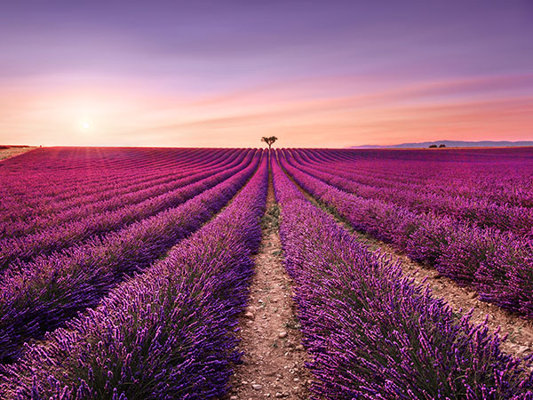 프랑스 일주 11일 [사랑에 빠지다] 몽블랑/빛의채석장/몽생미셀/와이너리/오르세미술관/전일정 4성숙박_ HIT