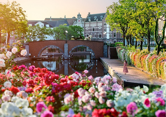 큐슈3일 [사가IN-OUT] 토토로나무/귀족정원/하우스텐보스/온천호텔