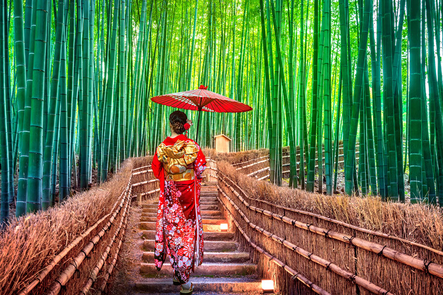 오사카3일[롯데원티비][이색여행]나라사슴공원/고베야경/천연온천/노면전차탑승/기모노숲/소바야식/특식제공