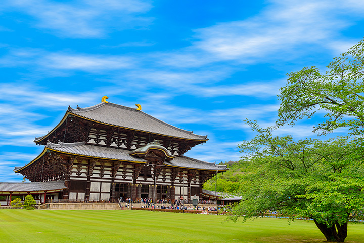 오사카3일#부산출발#이색여행#나라사슴공원#고베야경#천연온천#노면전차탑승#기모노숲